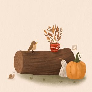 Cocoa-pumpkin