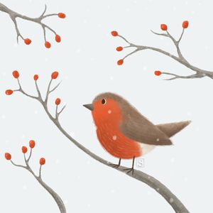 Robin